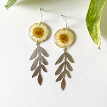 Load image into Gallery viewer, Growing Daisies