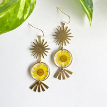 Load image into Gallery viewer, Shinning Sun