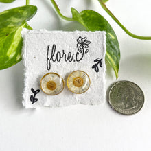 Load image into Gallery viewer, White Flower Studs