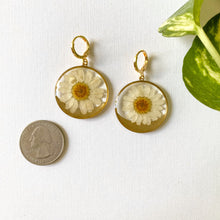 Load image into Gallery viewer, White Daisy