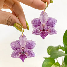 Load image into Gallery viewer, Spotted Purple Small Orchids