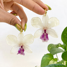 Load image into Gallery viewer, Light Yellow & Purple Mini Dendrobium Orchid