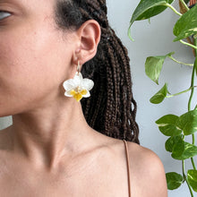 Load image into Gallery viewer, Mini White Orchids