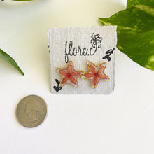 Load image into Gallery viewer, Cruz de Malta Star Studs