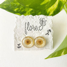 Load image into Gallery viewer, White Flower Circle Studs