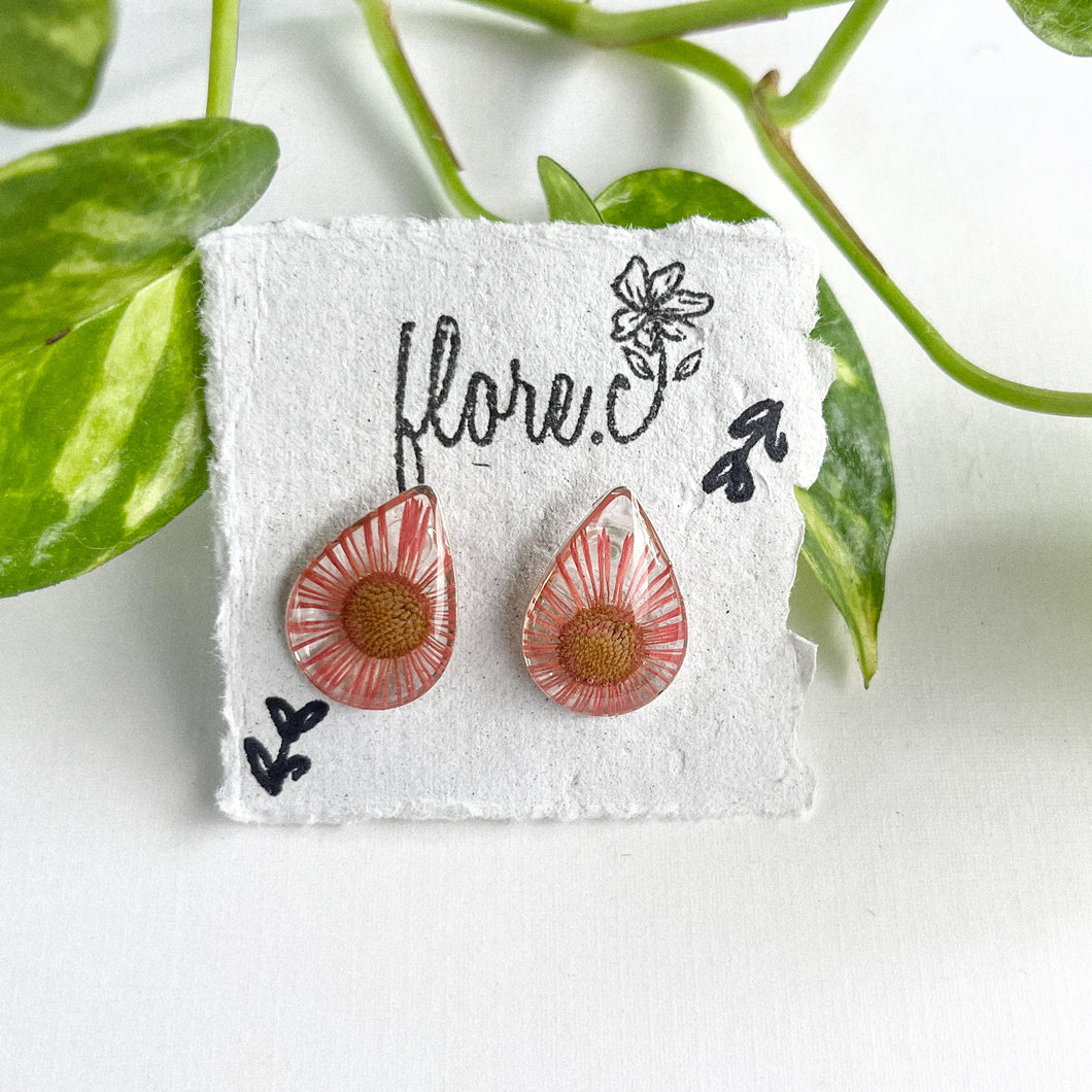 Pink Fleabane Drop Studs