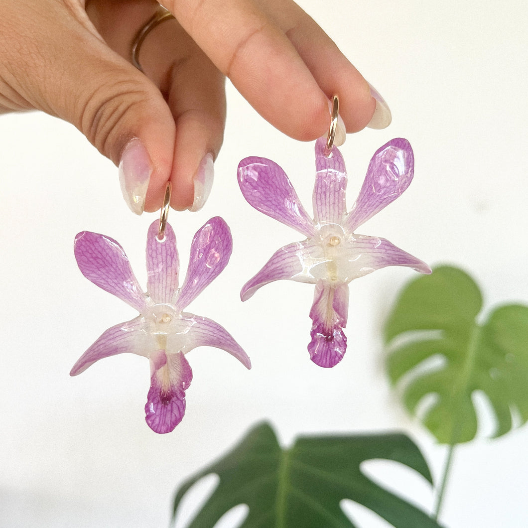 Hawaiian Purple Orchids