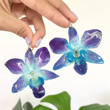 Load image into Gallery viewer, Blue Dendrobium Orchid
