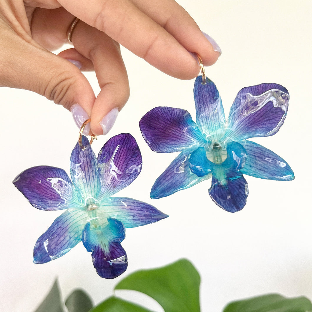 Blue Dendrobium Orchid