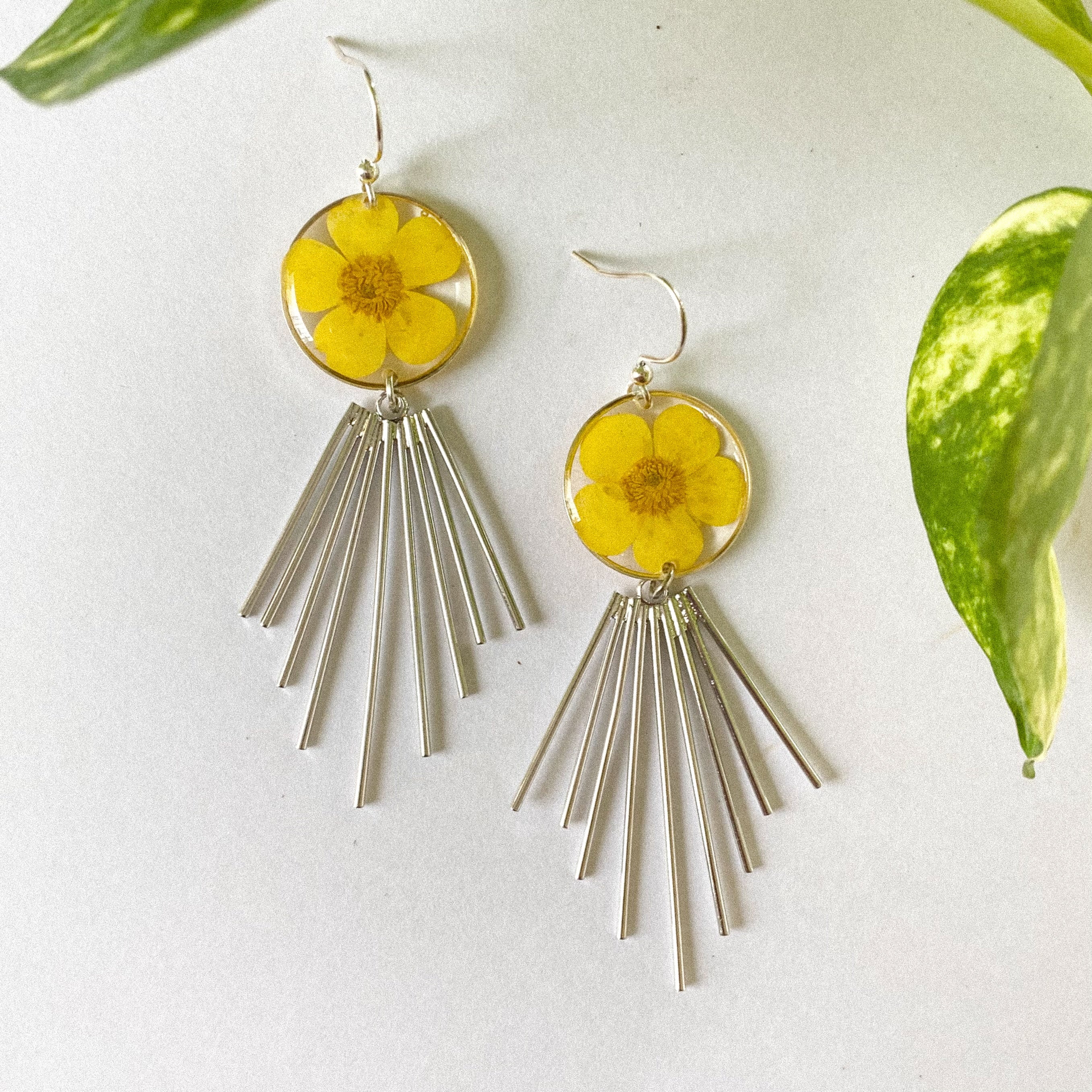 Shinning Buttercup Flowers