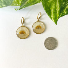 Load image into Gallery viewer, Golden Half Daisy Flowers
