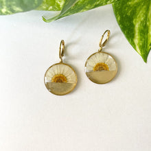 Load image into Gallery viewer, Golden Half Daisy Flowers
