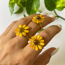 Load image into Gallery viewer, Wild Daisy Ring
