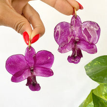 Load image into Gallery viewer, Dendrobium Purple Orchids
