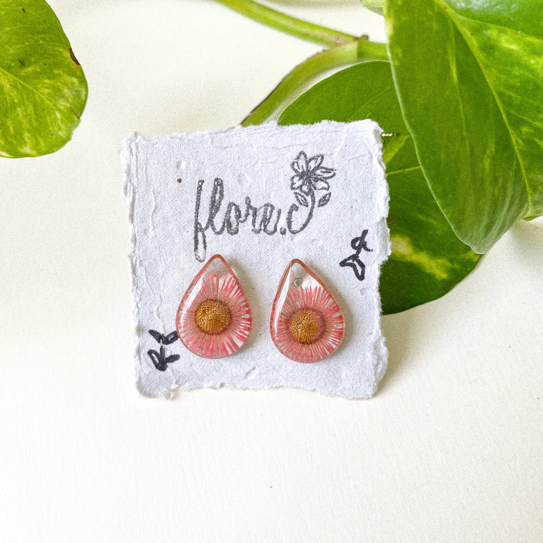 Pink Fleabane Drop Studs