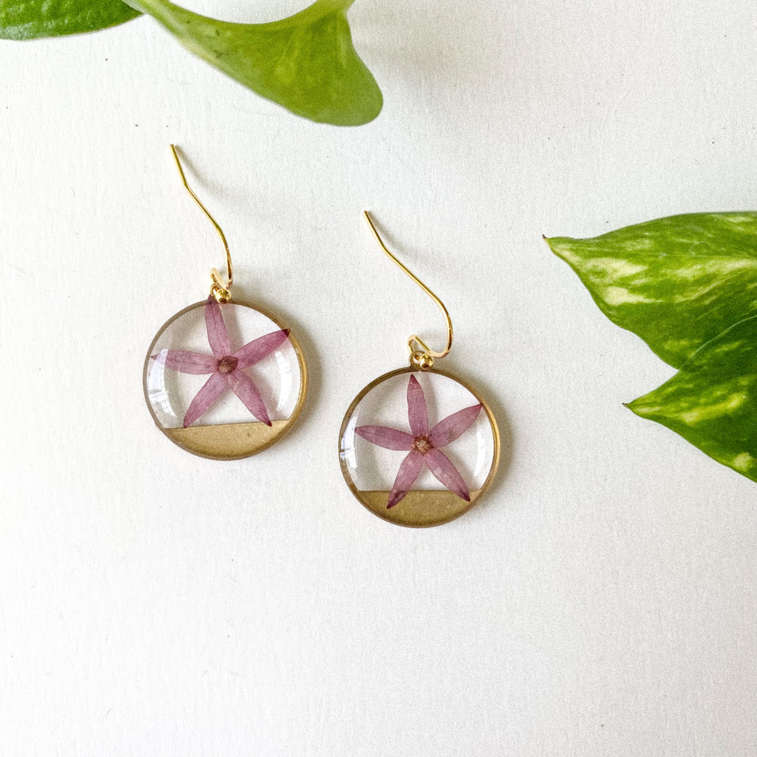 Mini Star Flowers