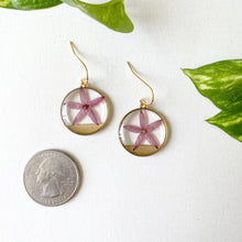 Load image into Gallery viewer, Mini Star Flowers
