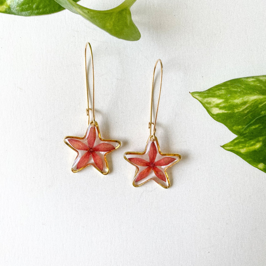 Mini Stars