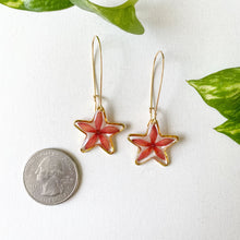 Load image into Gallery viewer, Mini Stars
