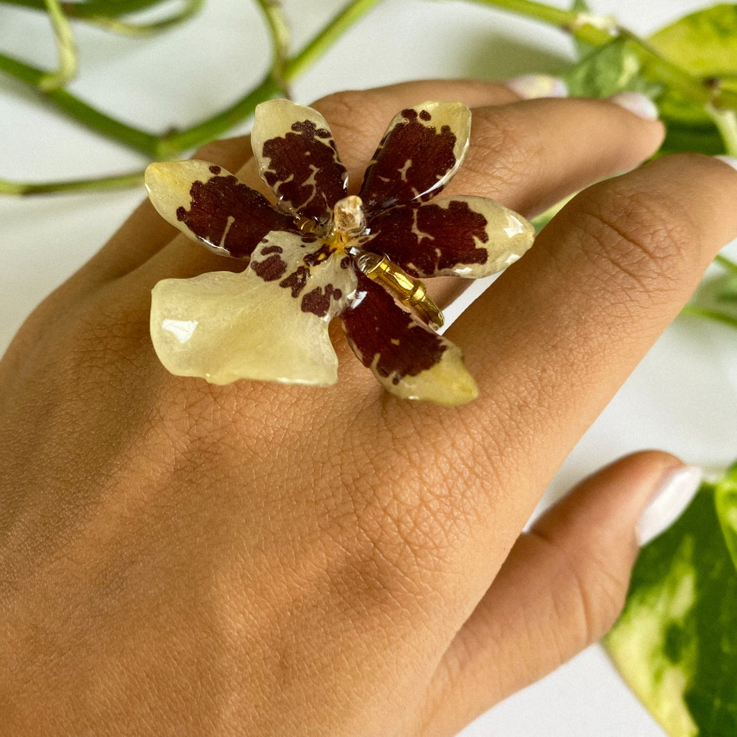 Oncidium Orchid Ring