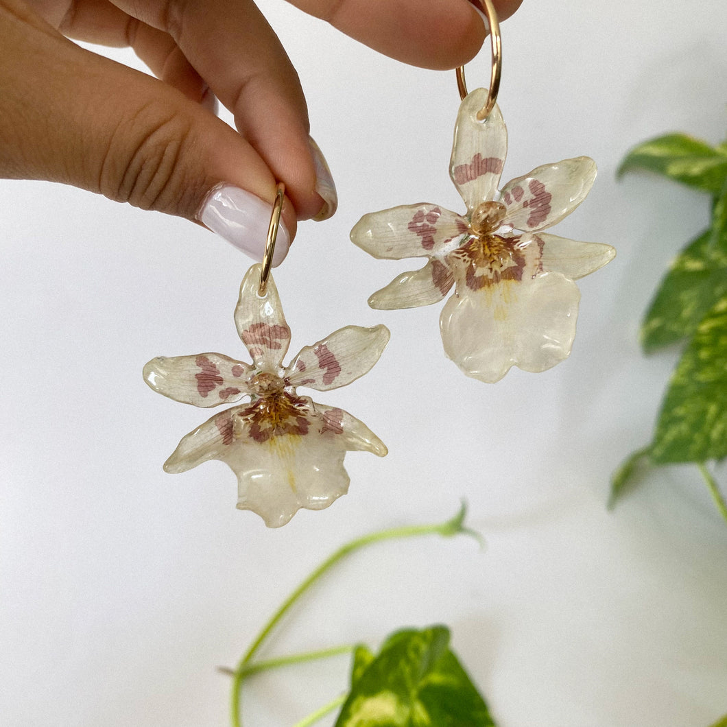 Sharry Baby Orchid