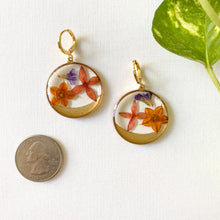 Load image into Gallery viewer, Mixed Botanicals
