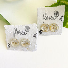 Load image into Gallery viewer, Baby Breath Studs
