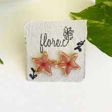 Load image into Gallery viewer, Cruz de Malta Star Studs
