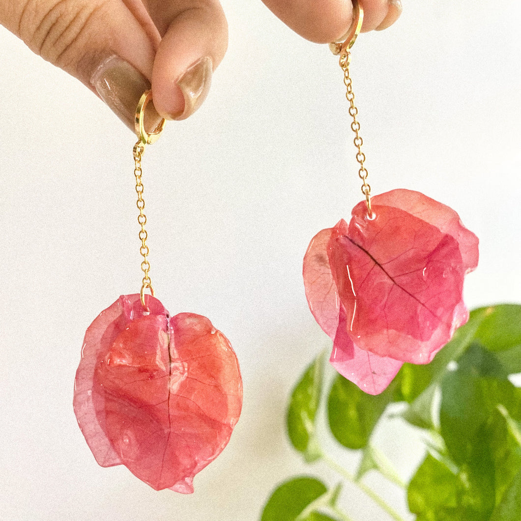 Trinitaria en Arete- Coral