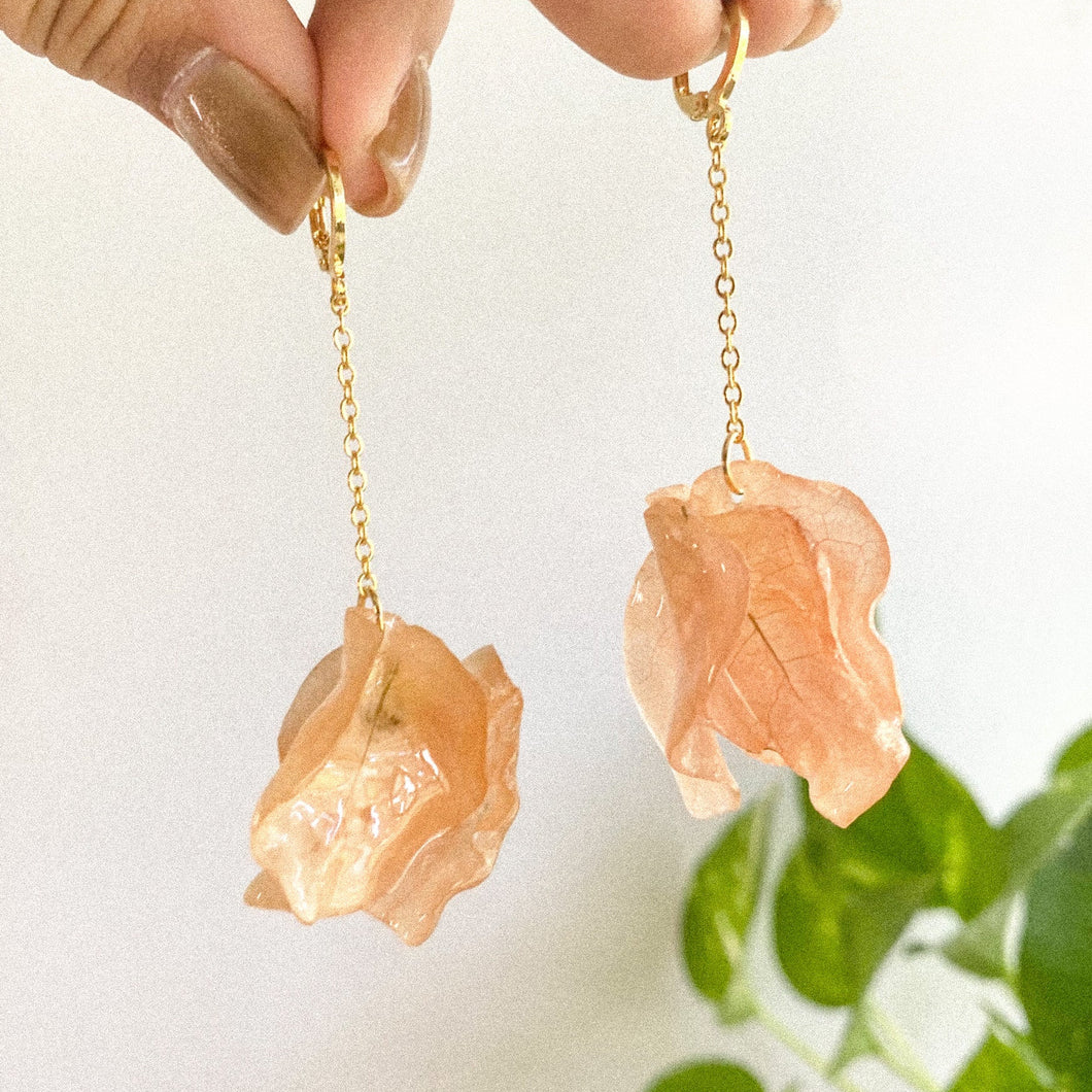 Trinitaria en Arete- Peach