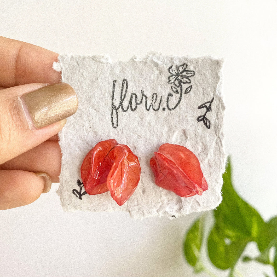 Trinitarias Mini en Studs - Coral