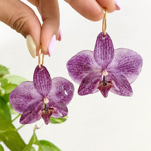 Load image into Gallery viewer, Spotted Purple Orchids

