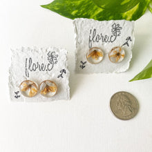 Load image into Gallery viewer, Yellow Star Flower Circle Studs
