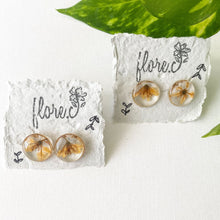 Load image into Gallery viewer, Yellow Star Flower Circle Studs

