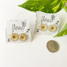 Load image into Gallery viewer, White Flower Circle Studs
